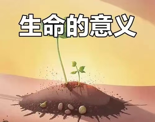 修行感悟