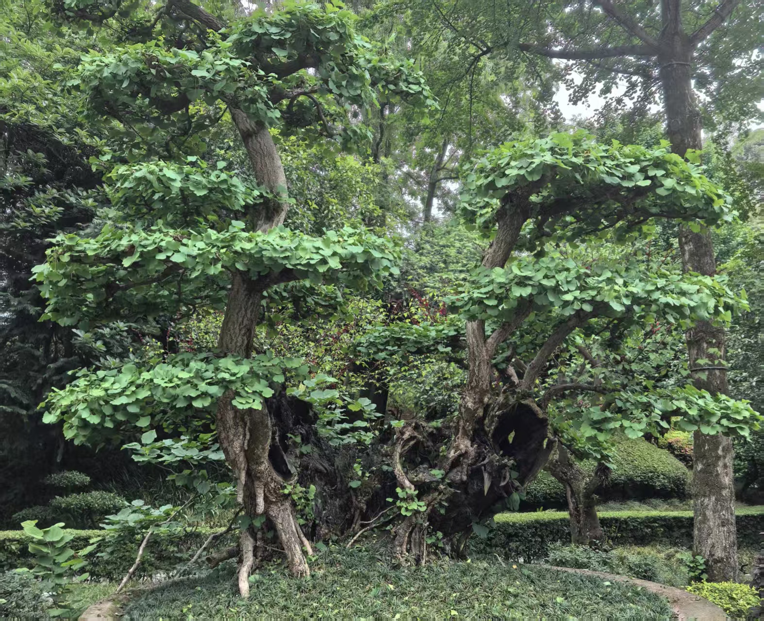 修行感悟