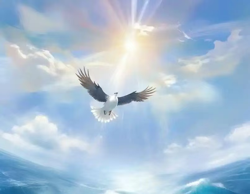 学佛知见