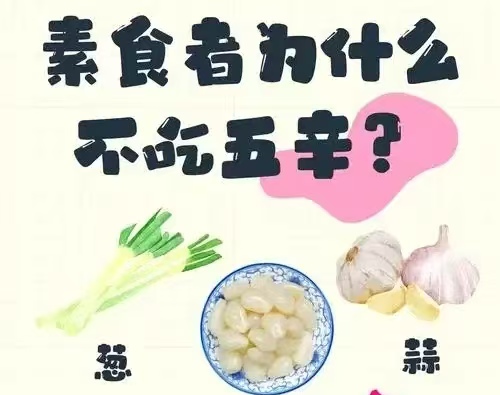 素食养生